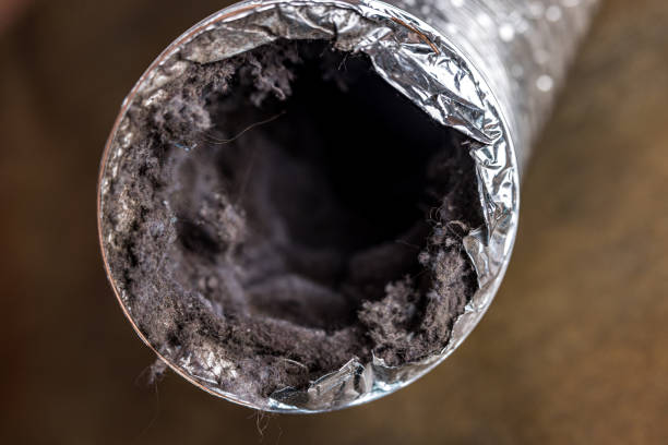Best Air Duct Cleaning Company Near Me  in Edna, TX